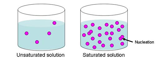 Diagram shows the increased chance of molecules bumping into each other in a saturated solution