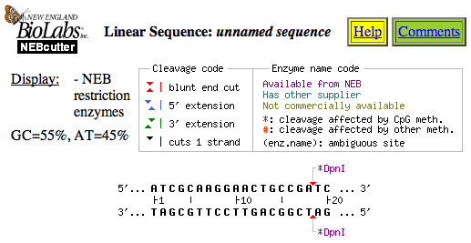 A restriction enzyme map