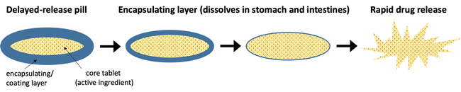  Schematic of the dissolving mechanism of a delayed-release tablet. The encapsulating layer slowly dissolves until it releases the active ingredient.