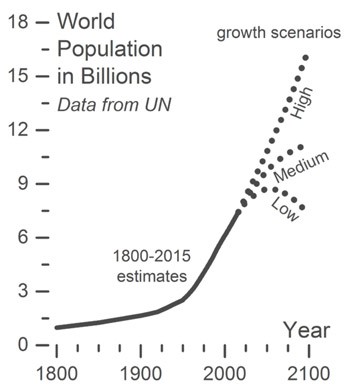 Graph projecting the growth of the world population