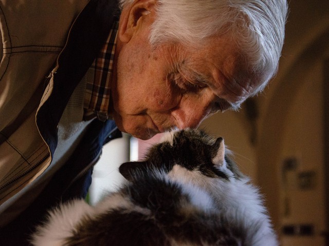 cat and old man