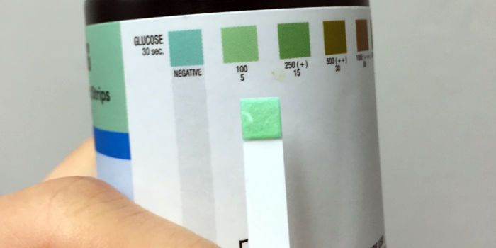 Science, Biochemistry, and Sugar with the Sugar Metabolism Kit from the Science Buddies Store