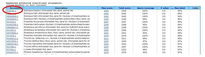 Screenshot from a BLAST search generate a result list of matching accessions