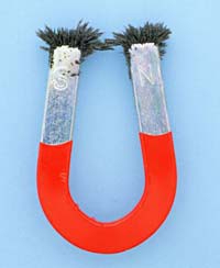 horseshoe magnet
