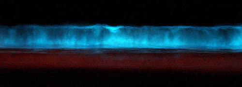 An ocean wave glows aqua blue at night