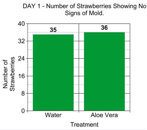 Example bar graph counts the number of strawberries with no signs of mold