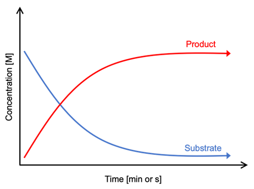 Graph showing the concentration of reaction products and substrates over time.