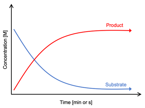  Graph showing the concentration of reaction products and substrates over time. 