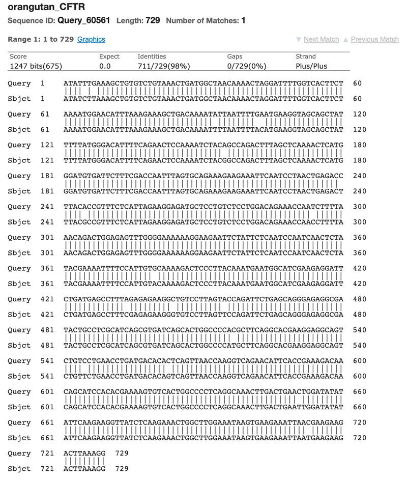 Screenshot of the results page of the 'Alignment' tab in the BLAST tool on the ncbi.nlm.nih.gov website shows the detailed alignment of the query and subject sequences. Two rows of letters on top of each other represent the two sequences. A vertical line between the two seuences show where bases/letters match. The bases/letters are not connected when there is a mismatch between the sequences.