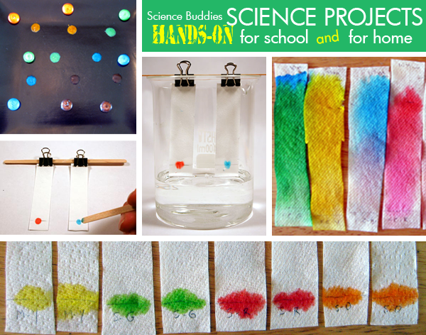 Photo collage of colorful paper chromatography strips