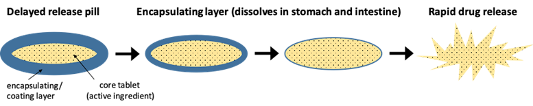 Schematic of the dissolving mechanism of delayed release tablet. The encapsulating layer slowly dissolves until it releases the active ingredient. 