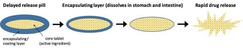 Schematic of the dissolving mechanism of delayed release tablet. The encapsulating layer slowly dissolves until it releases the active ingredient.