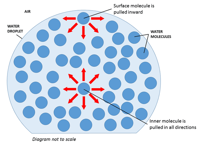 Diagram shows water molecules in a droplet pulling towards other water molecules