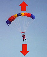 Photo of a skydiver with arrows for gravity pulling downward and drag pushing upward