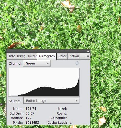 An image histogram for the channel green is overlaid on a photo of grass