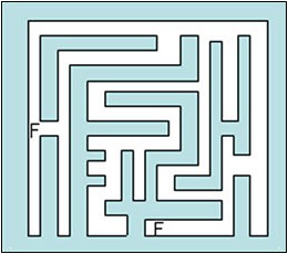 Template of a maze that was used to test slime mold