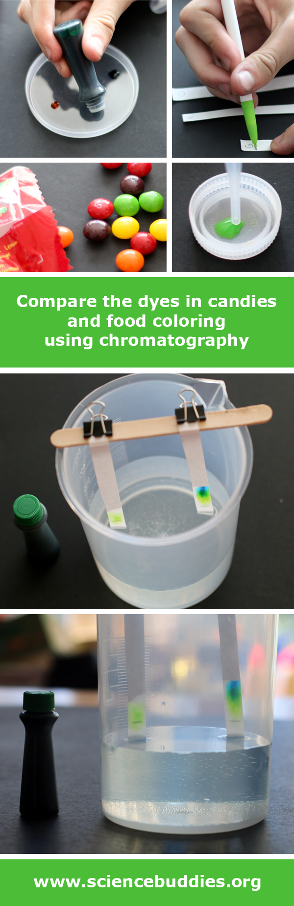 Photo collage of dye from food coloring and candy coatings tested with paper chromatography strips