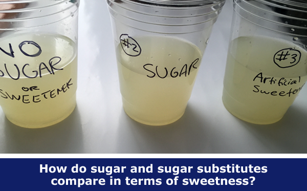 How do sugar substitutes compare to sugar in terms of sweetness? Weekly family science activity spotlight