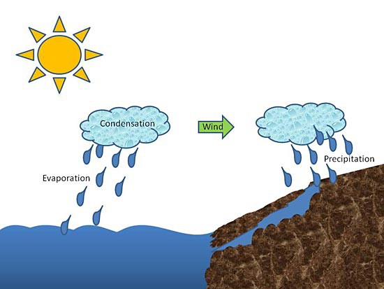Diagram of the water cycle includes evaporation, condensation and precipitation