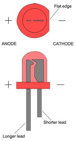 Drawing of a red LED shows a shorter lead and flat edge on the negative side of the LED bulb