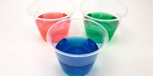 Second Grade Science Projects