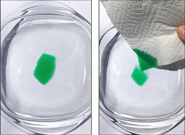 Green dye is absorbed by the corner of a paper towel