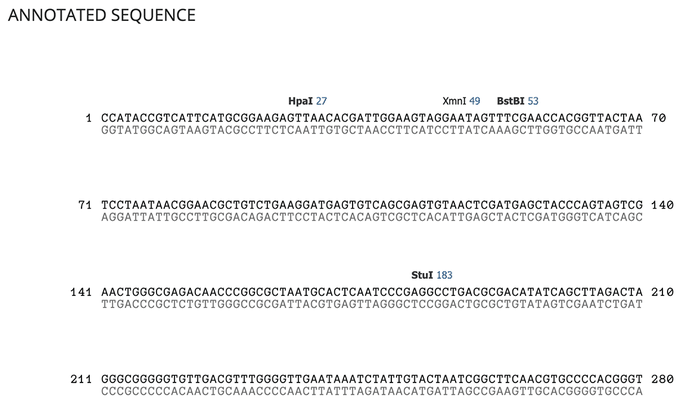 Screenshot of the Analyses section