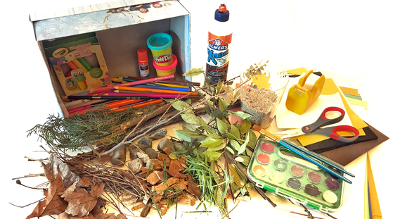 Assorted craft and natural materials to make a shoebox model animal habitat