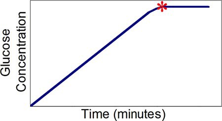 A simple graph of invertase converting sucrose to glucose at a constant rate until a plateau is reached