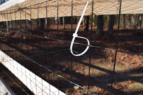A white zip tie secures a thin wire to a black metal fence