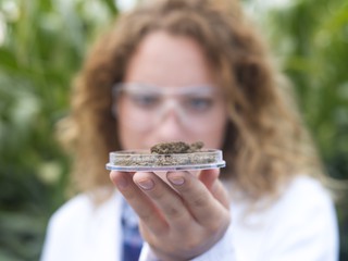 scientist holding petri dish with soil sample