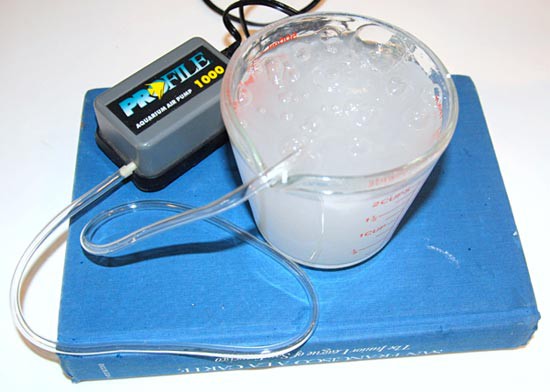 Aeration of the sugar solution using the aquarium aerator pump and airstone