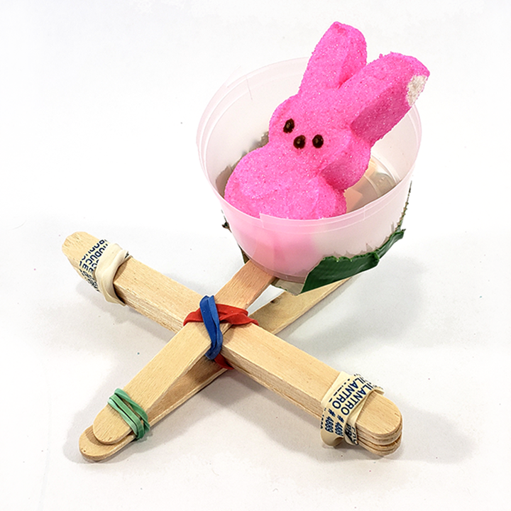 Peeps candy in a popsicle stick catapult for Easter celebration