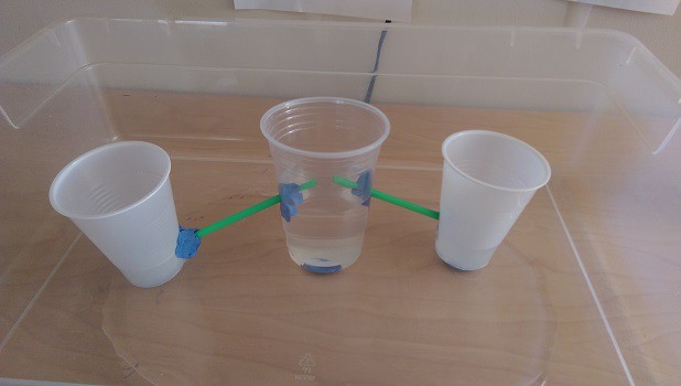 Three cups connected with straws