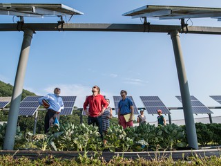 Solar farm