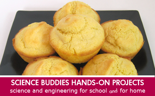 Food science kitchen chemistry cornbread baking Science Project / Weekly Family Science Project Highlight