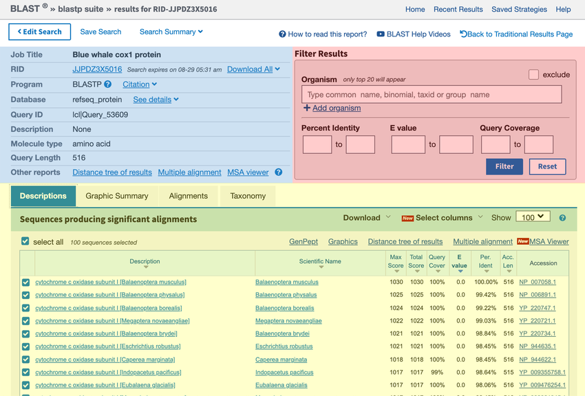 Results from a BLAST search generates a result list of matching accessions