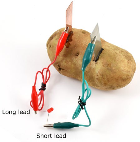 Two alligator clips connect a copper electrode to the positive lead and a zinc electrode to the negative lead of an LED