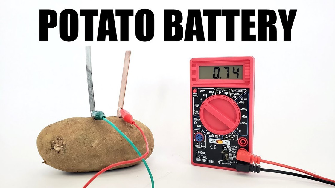 How to Turn a Potato Into a Battery Science Project