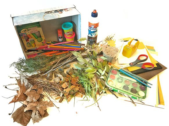 materials needed for miniature habitat lesson plan