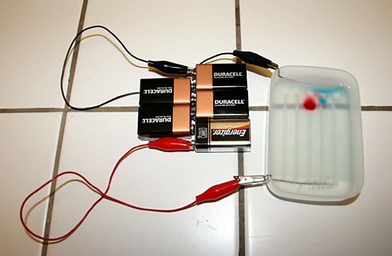 Two alligator clips connect five 9-volt batteries to two electrode plates on opposite sides of a plastic container