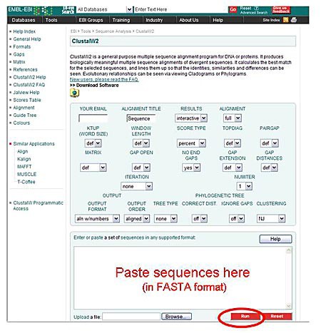 Screenshot of the ClustalW2 tool