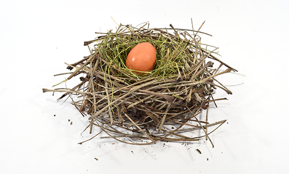 Homemade bird nest made from natural and craft materials