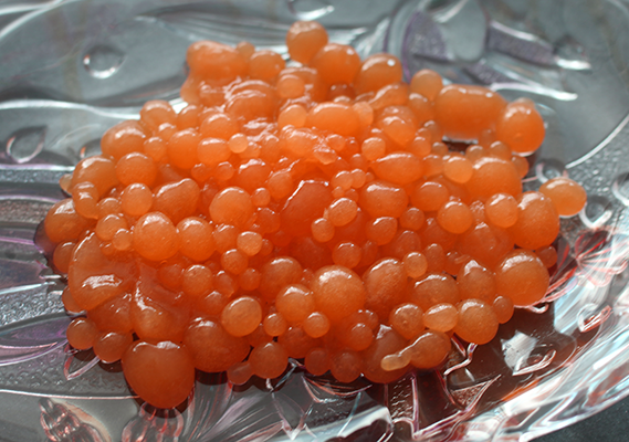 Dish of orange boba-like juice balls from spherification activity