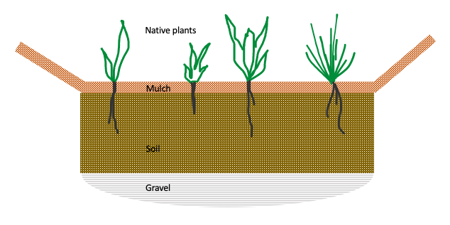 Illustration of a layered rain garden created in a depression. Native plants grow in a layer of soil that is covered with mulch. Below the soil is a layer of gravel. 