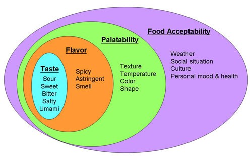 Four ovals overlaid describe the taste, flavor, palatability and acceptability of food