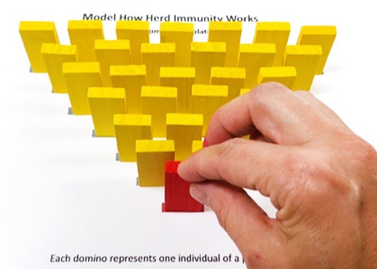 28 dominoes (27 yellow, 1 red) set up in a triangle formation. The red domino is at its tip.