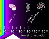 2012-blog-xray-200.jpg