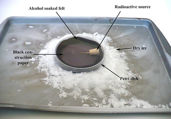 Experimental setup to measure radioactive decay