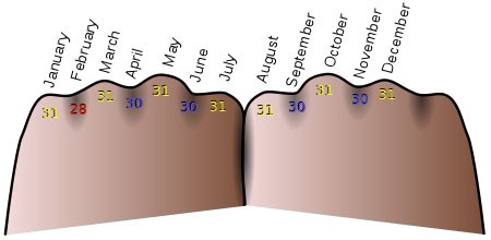 Diagram of the the number of days in the month represented by the knuckles on your hands